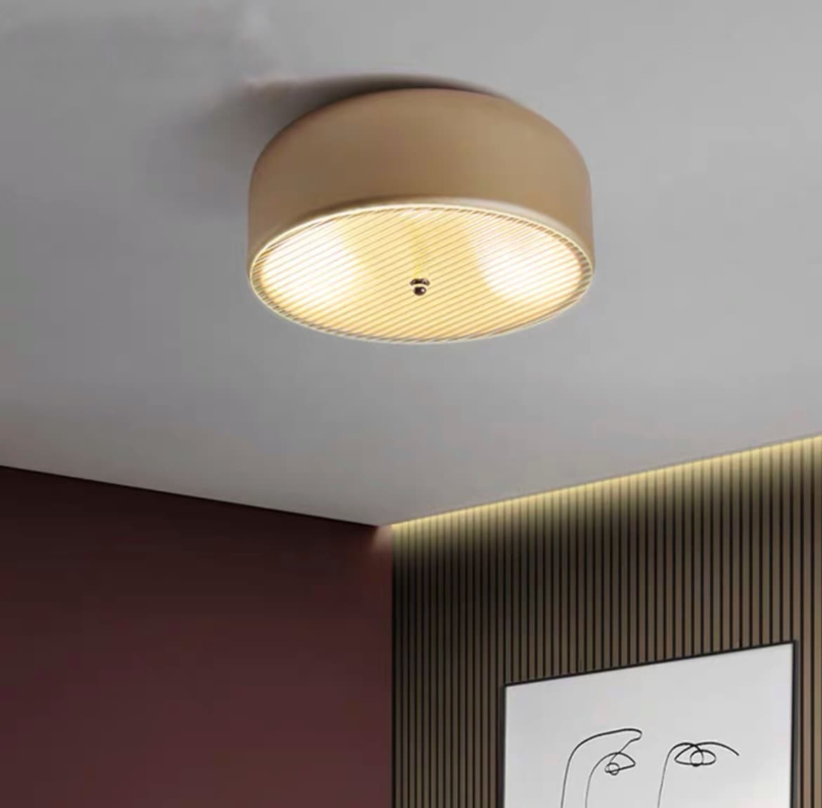 Потолочный светильник RANNY