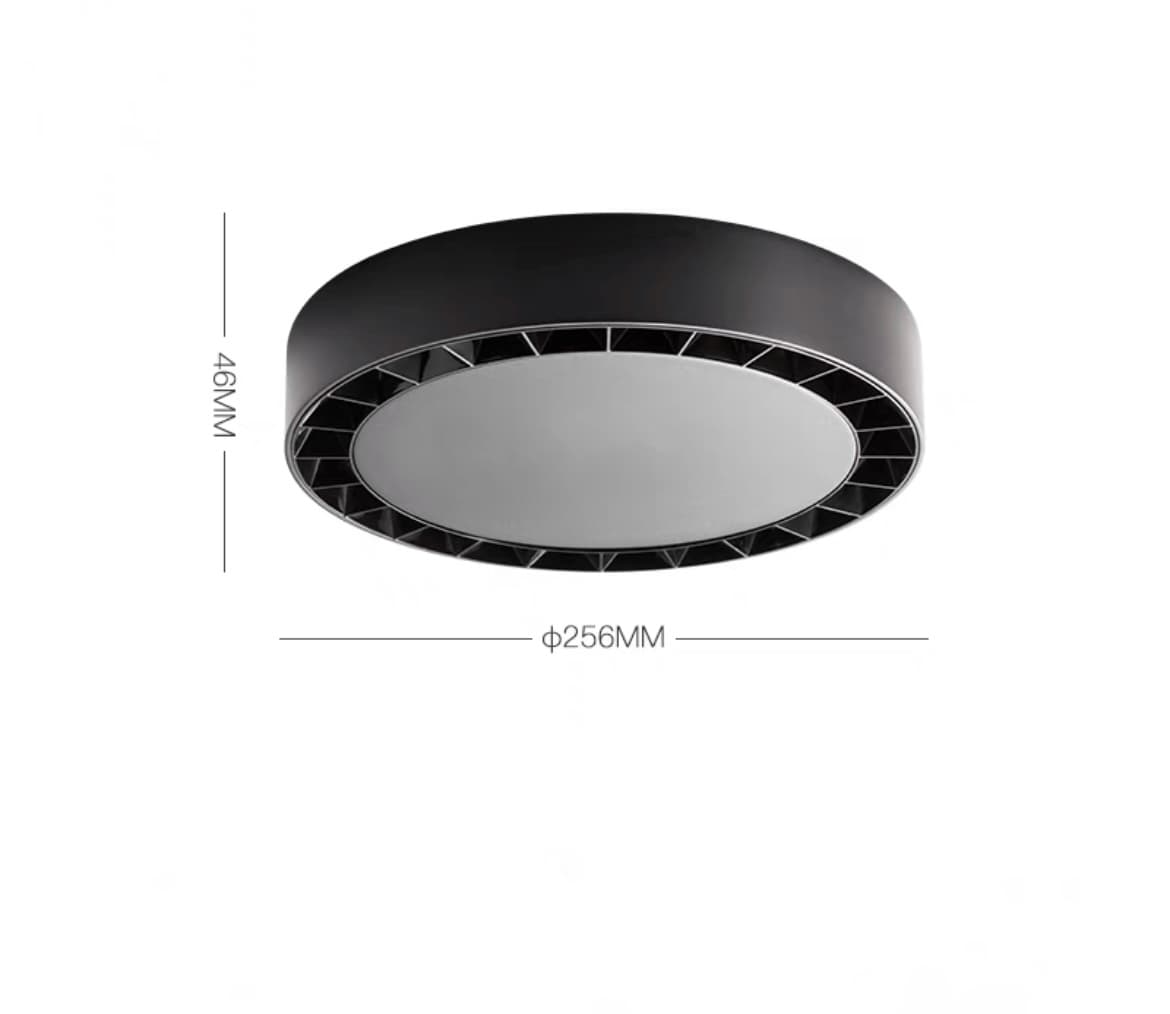 Потолочный светильник OCTAVIA