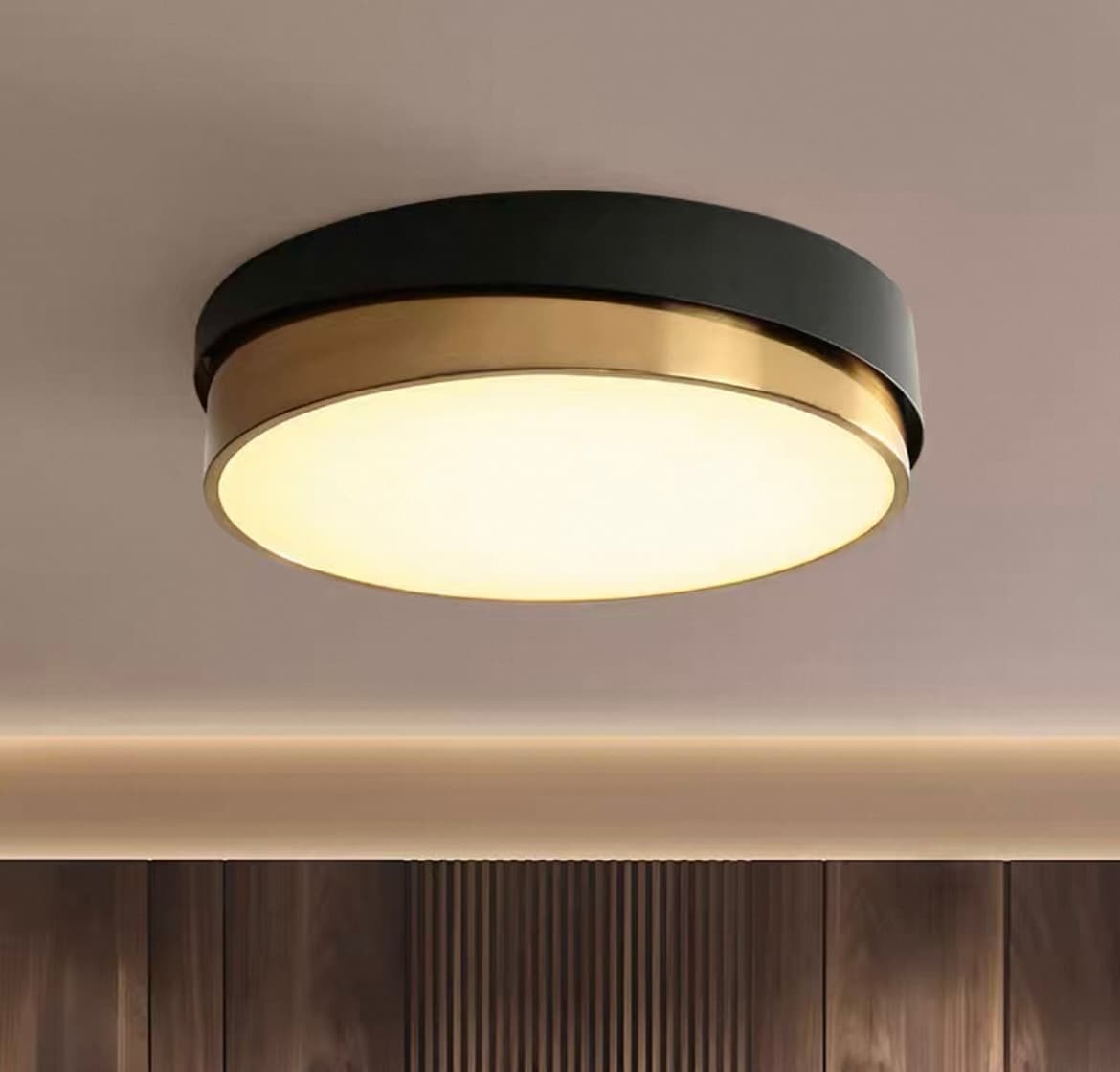 Потолочная люстра VELENA CH